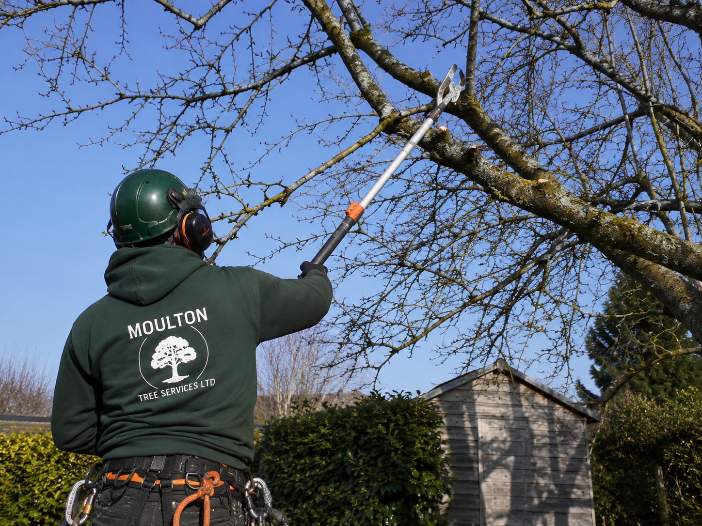 Tree Pruning