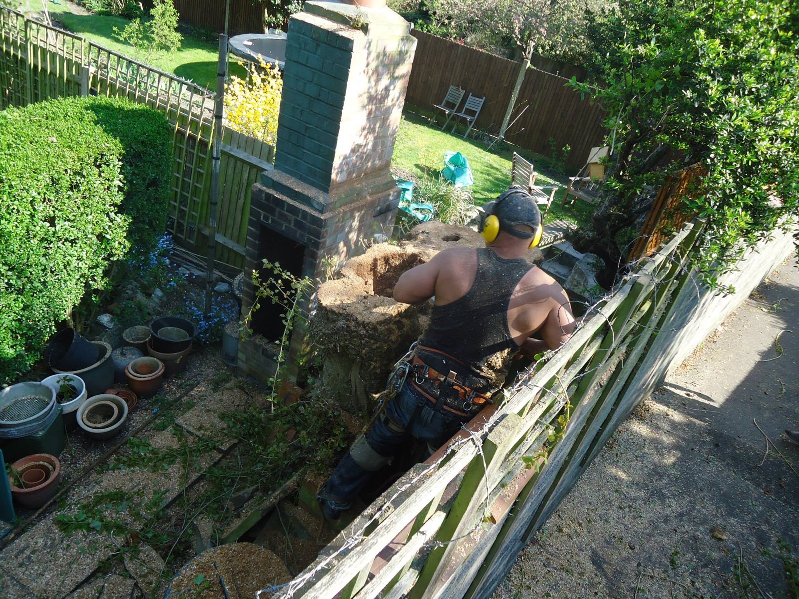 Stump grinding project